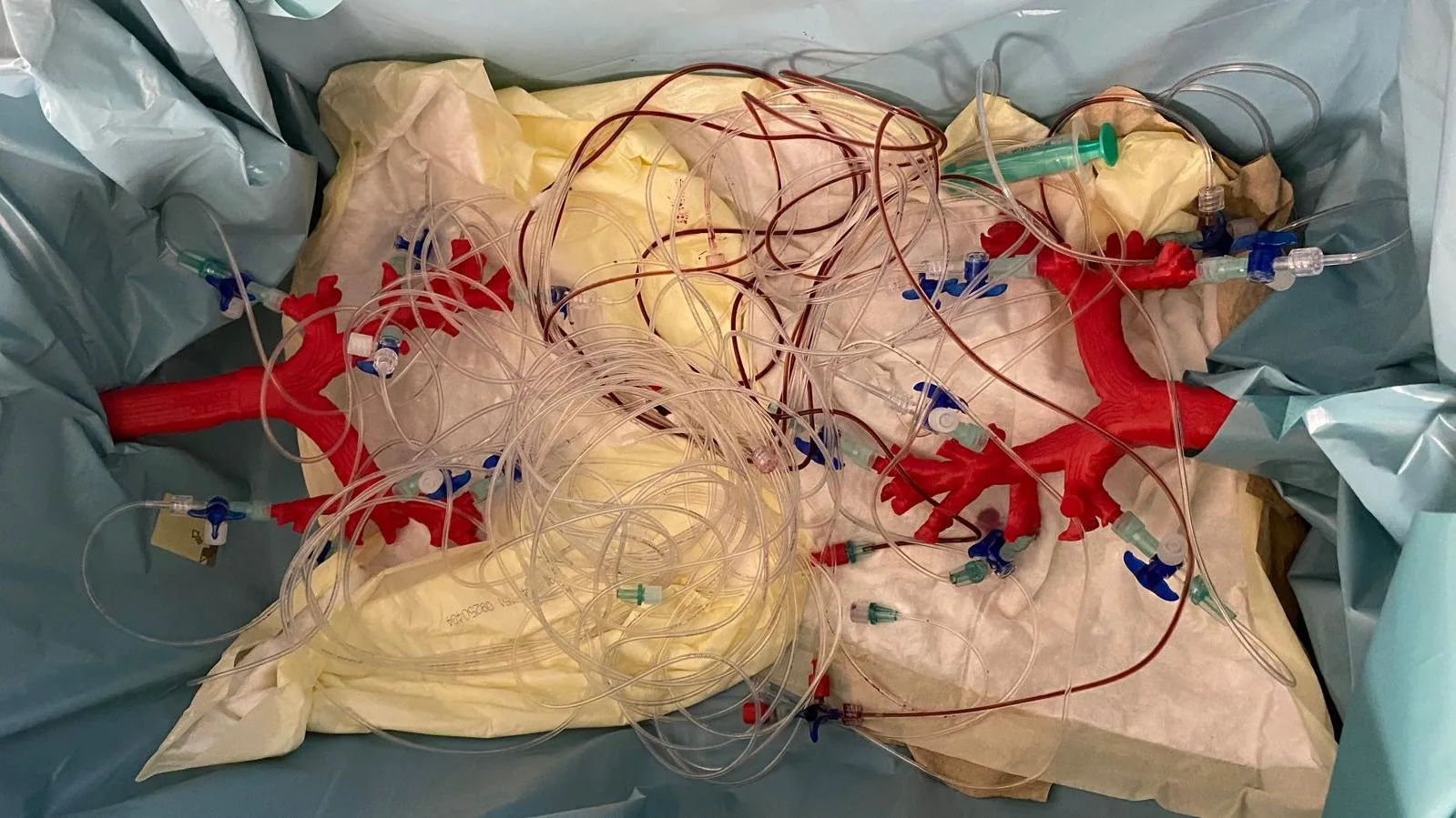 Luer-Lock-Anschlüsse an den Segmentbronchien des Bronchoskopie-Trainers