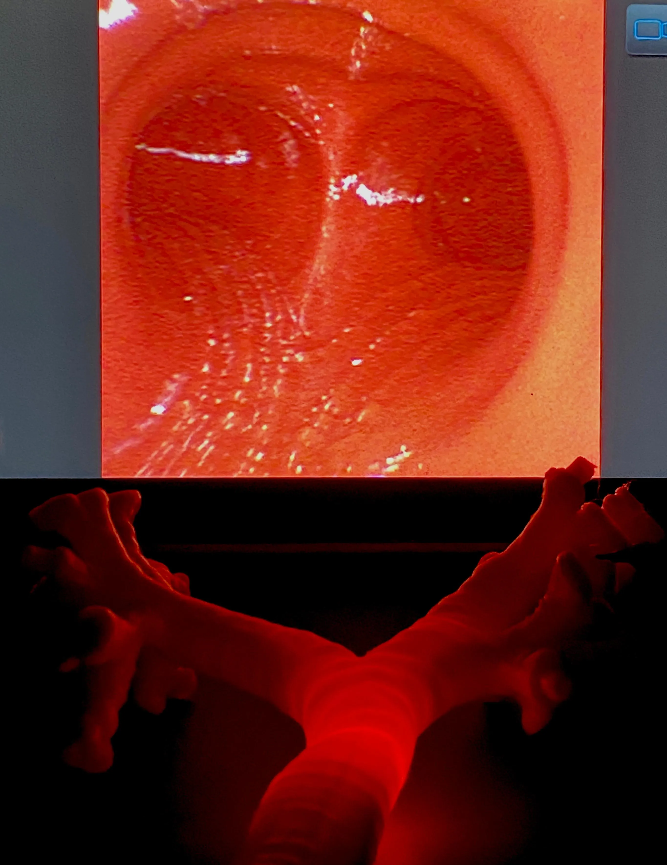 Zentrale Innenansicht des Bronchoskopie-Trainers mit sichtbarer Pars membranacea